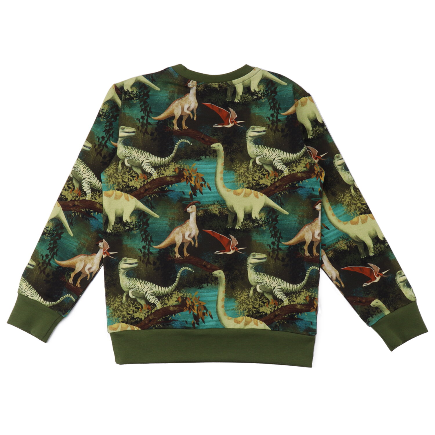 Bio Pullover Dinosaurier Dschungel von Walkiddy – Bild 2