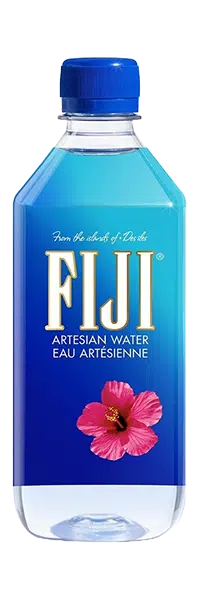 Fiji Artesian Wasser Still – 24 x 50 cl PET