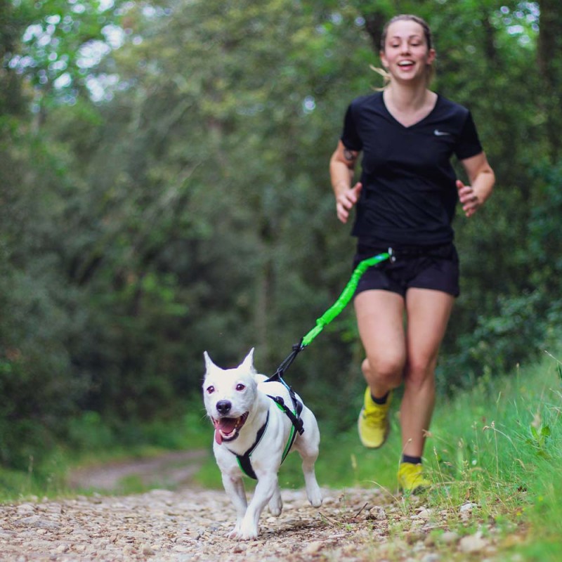 INLANDSIS – Crosser 2 Small Dogs Canicross Leash – Zugleine für Hunde bis 15 Kilo – Bild 3