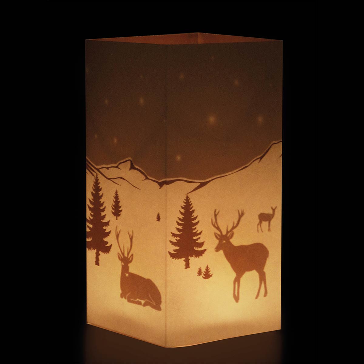 Designimdorf – 3 Windlichtschirme – ZAUBERLICHT – Wintermotive – Bild 4